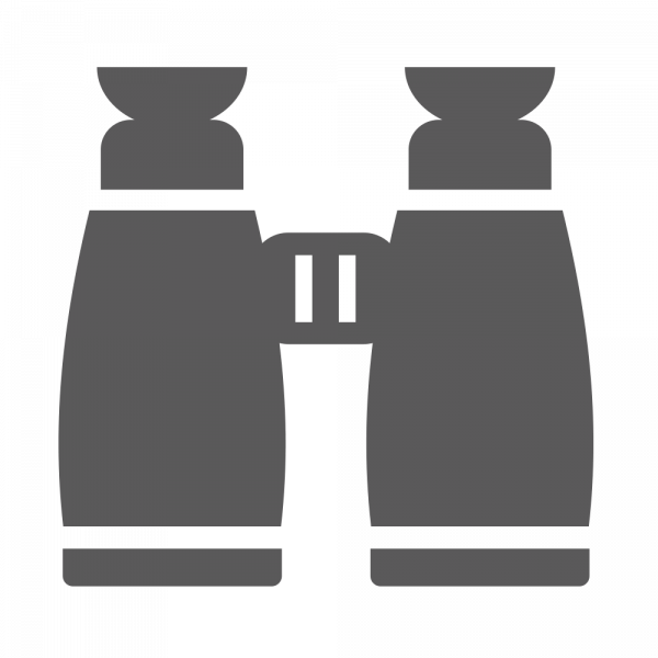 BRANDvillage Markensuchauftrag