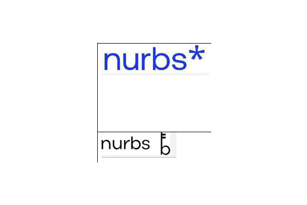Paket Wort/Bildmarke nurbs & nurbs*